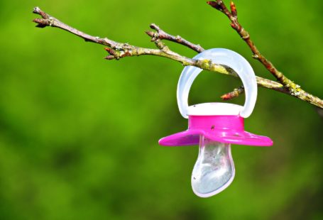 pink pacifier hanging on tree branch