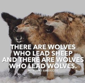 Wolves who lead wolves leader quote.